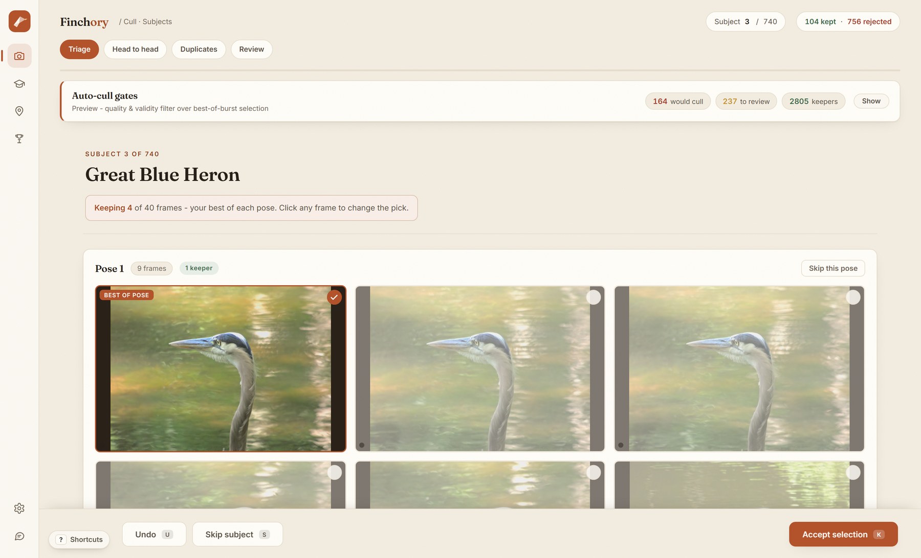 The Finchory application reviewing a burst of heron photographs and marking the best frame of each pose